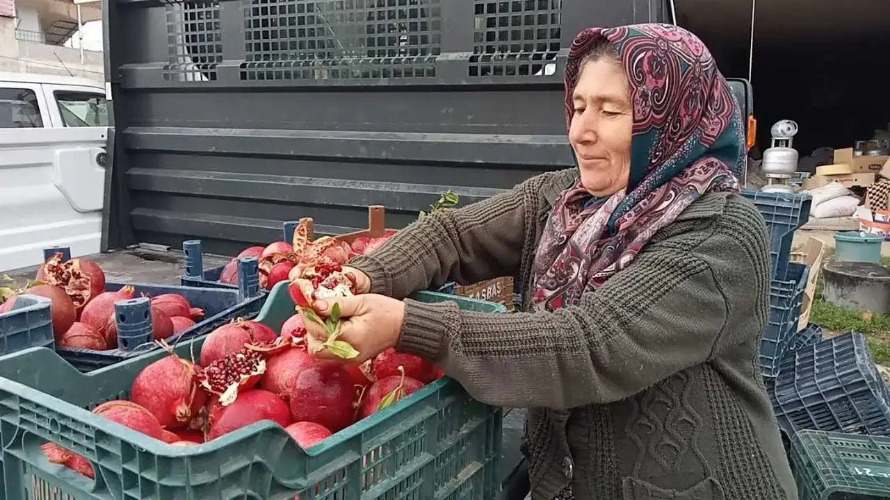 Mersin’de Asırlık Nar Ekşisi Geleneği: Katkısız, Doğal, Şifalı! 4